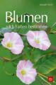 Blumen nach Farben bestimmen