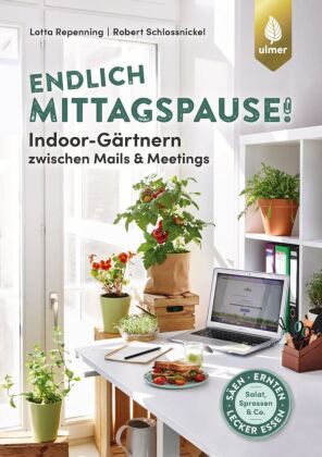 Endlich Mittagspause! Indoor-Gärtnern zwischen Mails und Meetings mit Pflücksalat, Sprossen & Co.