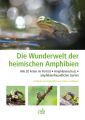 Die Wunderwelt der heimischen Amphibien