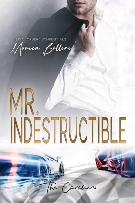 Mr. Indestructible