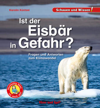 Ist der Eisbär in Gefahr?