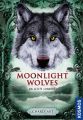 Moonlight wolves, Die letzte Schlacht