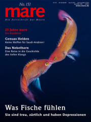 mare - Die Zeitschrift der Meere / No. 151 / Was Fische fühlen