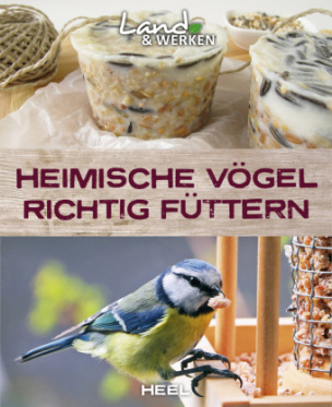 Heimische Vögel richtig füttern