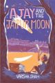 Ajay and the Jaipur Moon