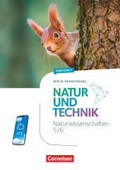 Natur und Technik - Naturwissenschaften: Neubearbeitung - Berlin/Brandenburg - Ausgabe 2023 - 5./6. Schuljahr: Naturwissenschaften