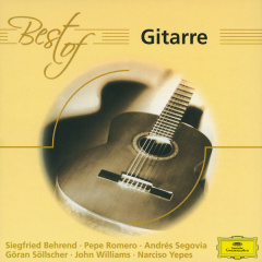 Best Of Gitarre