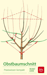 Obstbaumschnitt