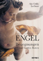 Engel - Begegnungen mit Gottes Boten