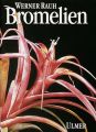 Bromelien