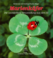 Marienkäfer