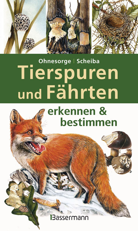 Ohnsorg: Tierspuren und Fährten erkennen & bestimmen (HC)