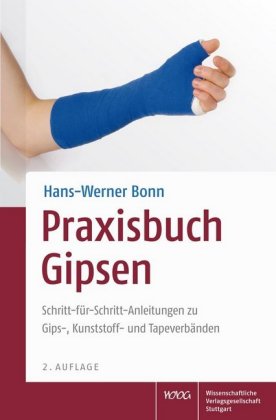 Praxisbuch Gipsen