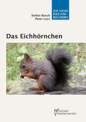 Das Eichhörnchen