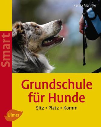 Grundschule für Hunde