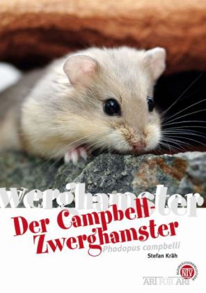 Der Campbell-Zwerghamster