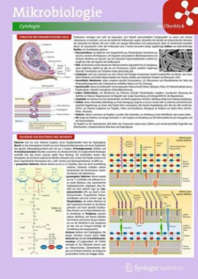 Mikrobiologie im Überblick, 8 Lerntafeln