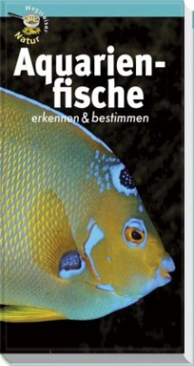 Aquarienfische erkennen & bestimmen