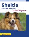 Sheltie