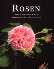 Rosen