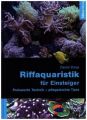 Riffaquaristik für Einsteiger